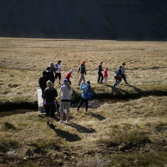 gallery4bfd454c4edb5jpg