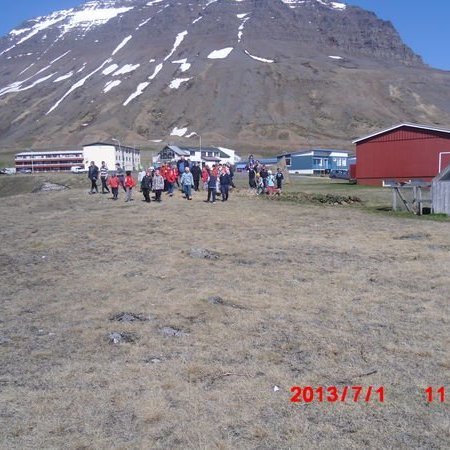 gallery51b057a054c20jpg