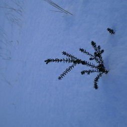 gallery4d512f54e4b25jpg