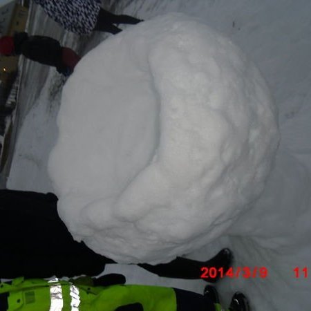 gallery52f38fb0addb2jpg