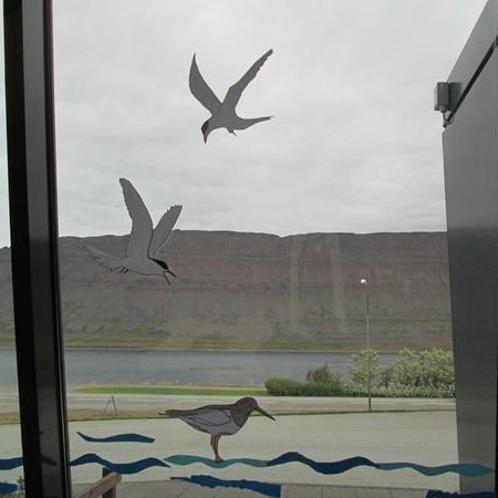 gallery5613daa9574b4jpg