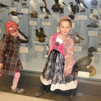 gallery4fbb547e722a9jpg