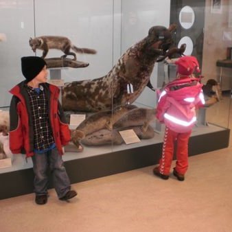 gallery4dd6741f1831djpg