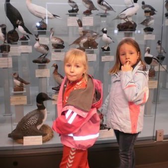 gallery4dd6745f34f05jpg