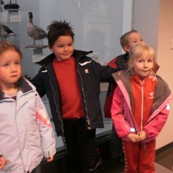 gallery4dd6747e7ad34jpg