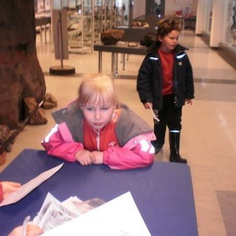 gallery4dd67756b42a3jpg