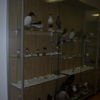 gallery4d9c26db4cb06jpg