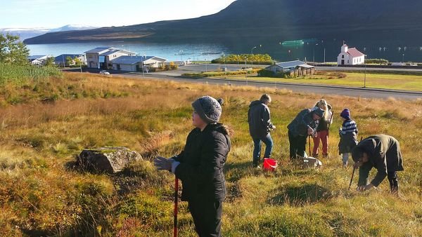 Árleg gróðursetning í Súðavíkurskóla