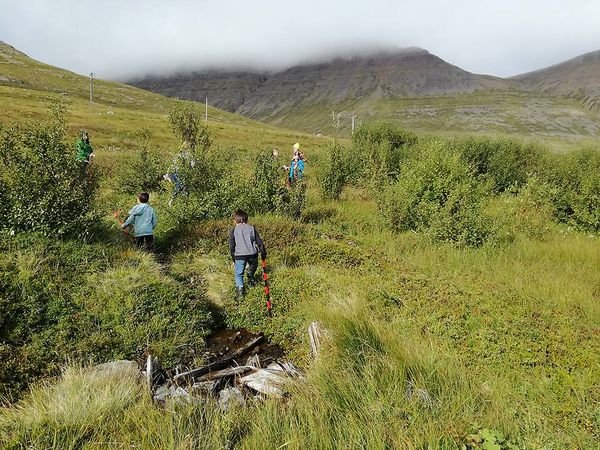 Gróðursetning í Skólaskógi