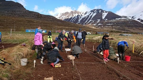 Kartöflugarðar - Skólagarðar 2018