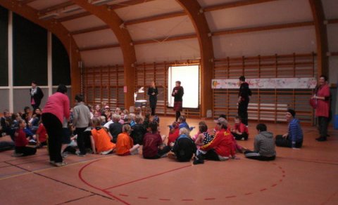 Litla íþróttahátíðin