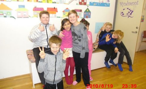 Litla íþróttahátíðin