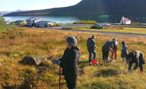 Árleg gróðursetning í Súðavíkurskóla