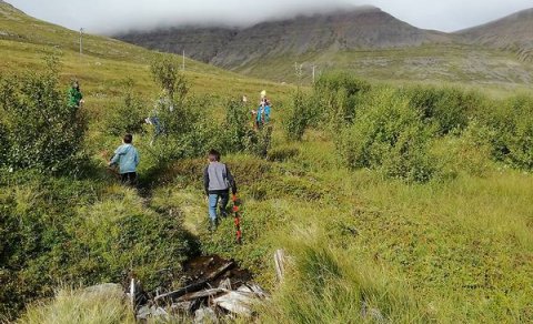 Gróðursetning í Skólaskógi