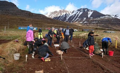 Kartöflugarðar - Skólagarðar 2018